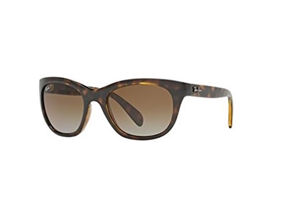 Light Havana/Polarized Brown Gradient