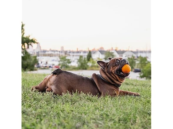 Chew King Dog 2.5" Bacon Flavor Rubber Balls 3 Pk