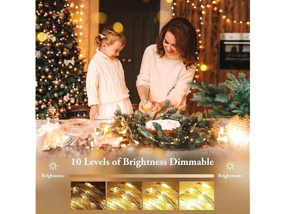 Lakumu B0FBRD4H71 2-Pack 100 LED Fairy Lights