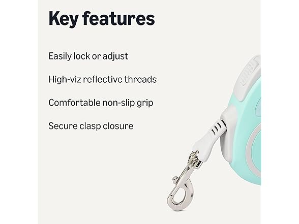 Amazon Basics Retractable Dog Leash Lg
