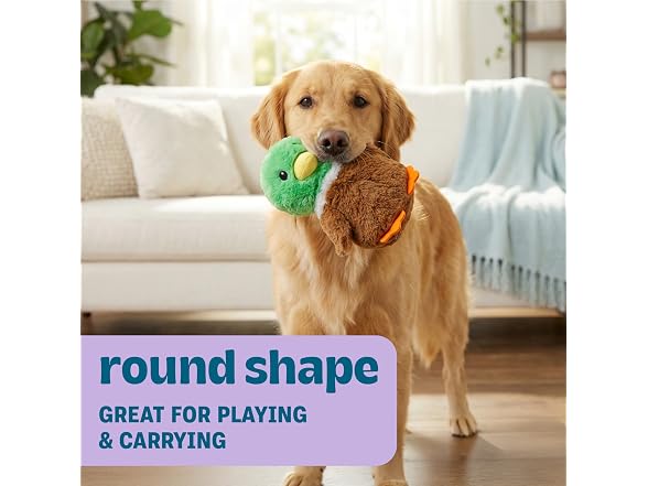 Pupstages Pudgy Pals Mallard Duck Dog Toy, Plush