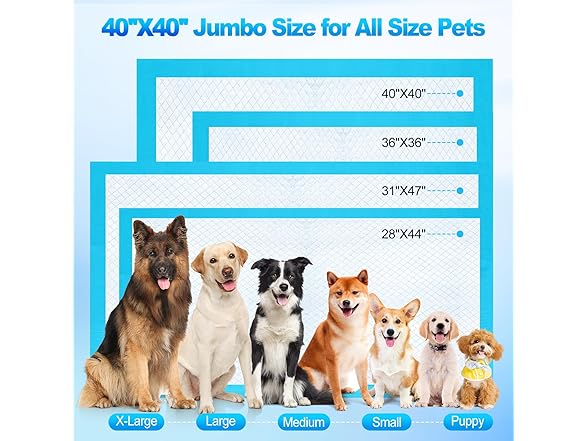 40"x40" puppy pads