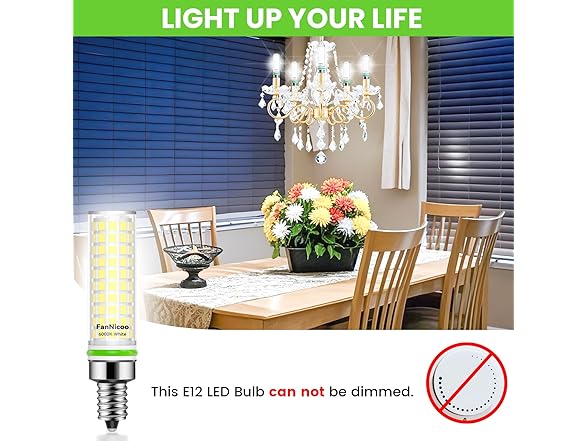 FanNicoo LED Bulb E12 LED Bulb