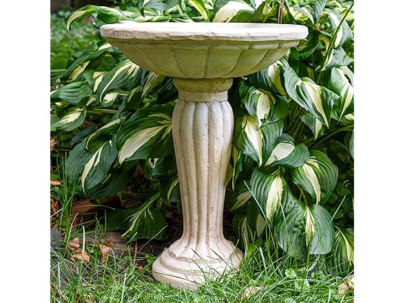 Sunnydaze 20.25” H Concrete Bird Bath Antique White