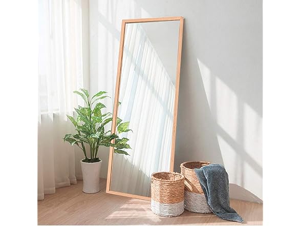 NeuType 65"x22" Full Length Mirror
