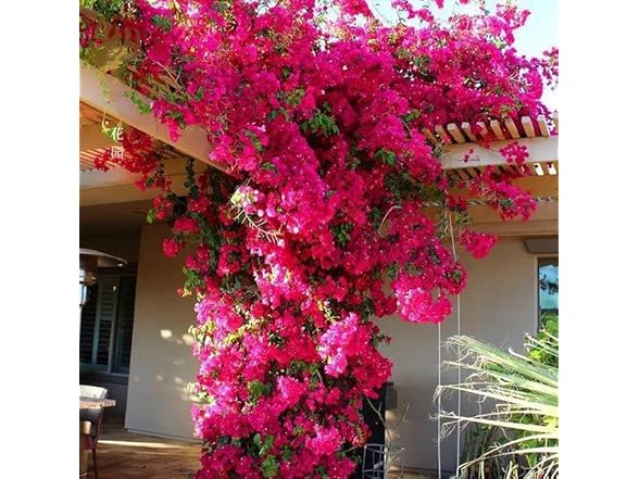 Artificial Flowers Silk Bougainvillea