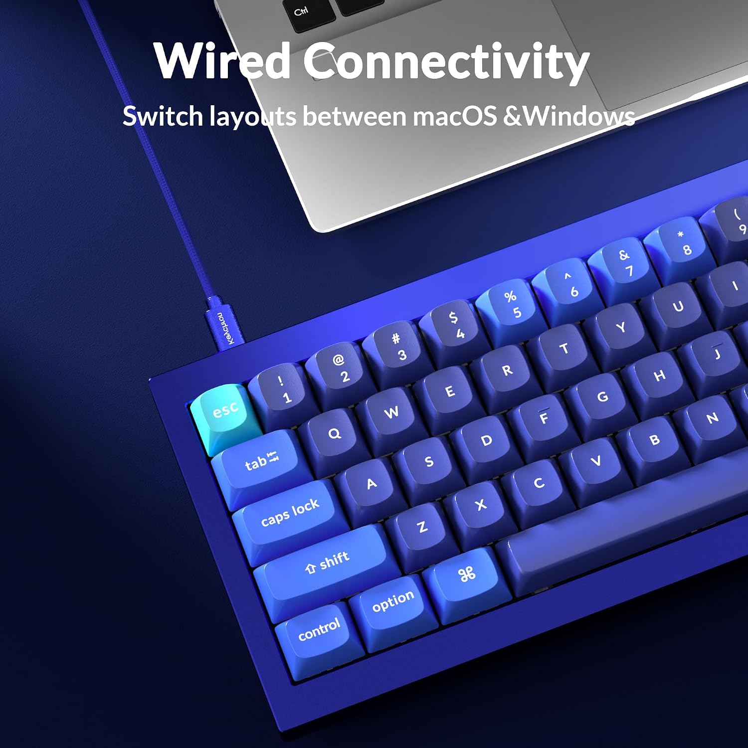 Keychron Q4 Wired Custom Mechanical Keyboard - Gallery 14