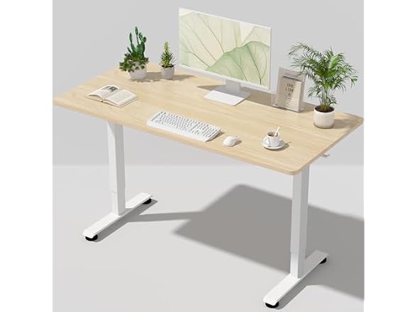 Veken 55 Large Electric Standing Desk