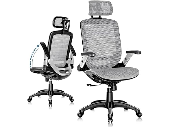 GABRYLLY GYG01 Ergonomic Office Chair