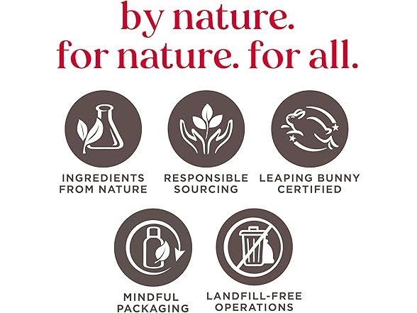 Burts Bees Kissable Color Warm Gift Set