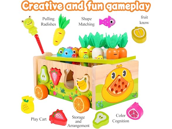 Montessori Toys Wooden Shape Sorter