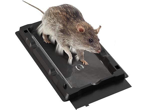 BLACK+DECKER BLACK+DECKER Glue Traps for Mouse & Insect-