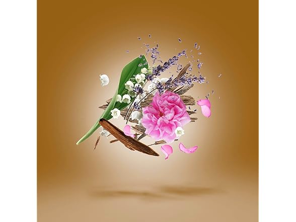 Xerjoff 1.7 Xerjoff Oud Stars Alexandria II 1.7