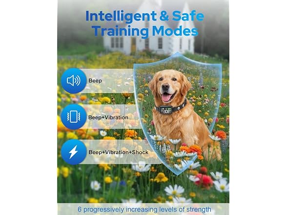 Petutor BC9991260656574 GPS Wireless Dog Fence