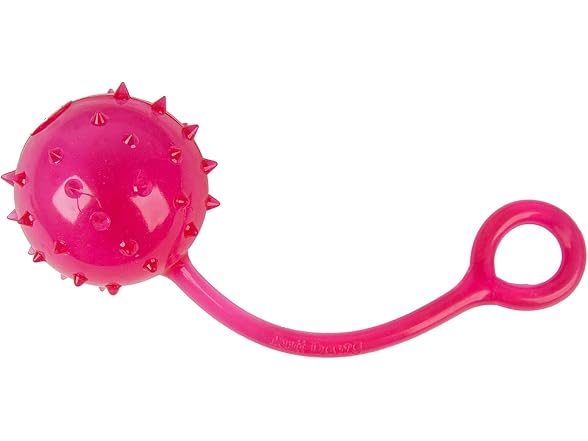 Ruff Dawg Gladiator Rubber Dog Toy Assorted Neon Colors