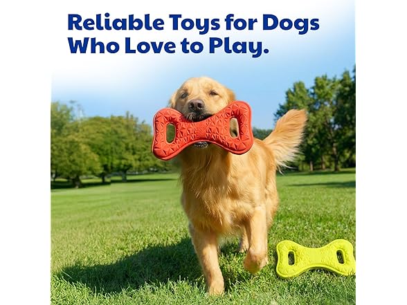 AKC Sport Double Tug Dog Chew Toy