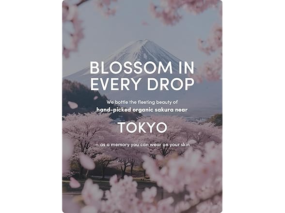 Kustie Sakura Floral Body Wash 12.8 fl oz