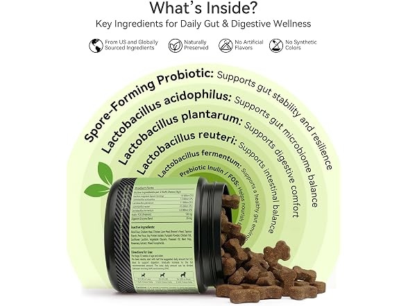 Probiotics for Dogs