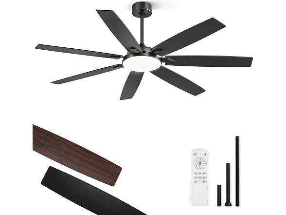 Fanbulous Black 62” Ceiling Fan with Lights