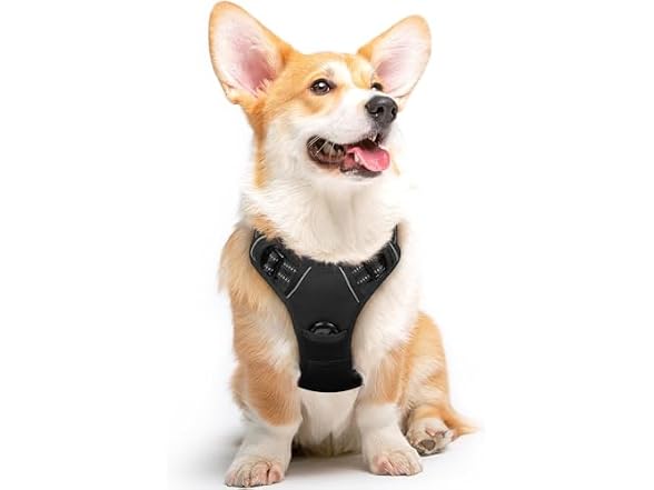 Pet Vest Harness with 2 Leash Clips, Adjusta