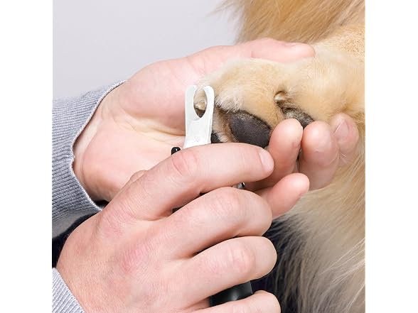 Tweezerman Large Nail Clippers for Pets