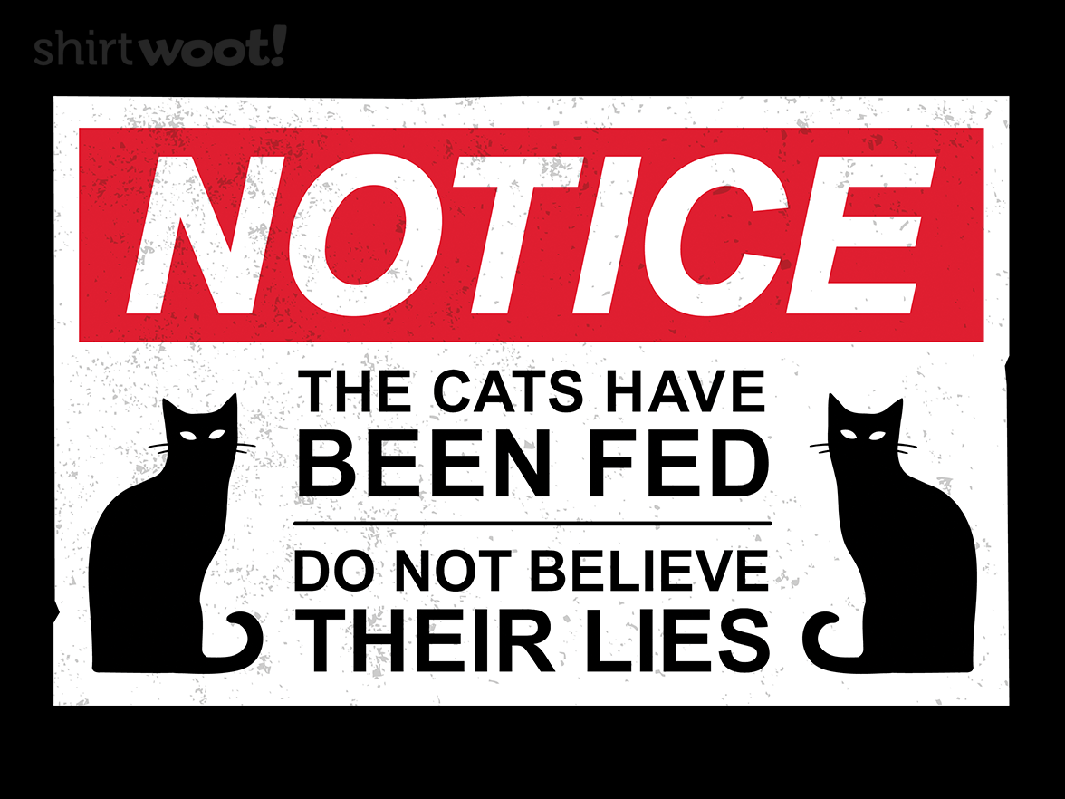 Cats Have Been Fed - Gallery 4