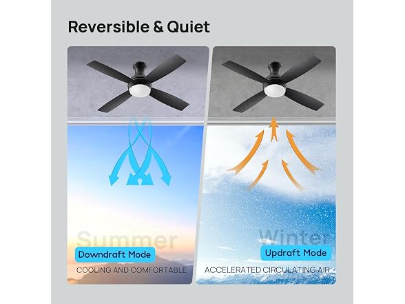 Consciot 52 Inch Black Ceiling Fan with Lights