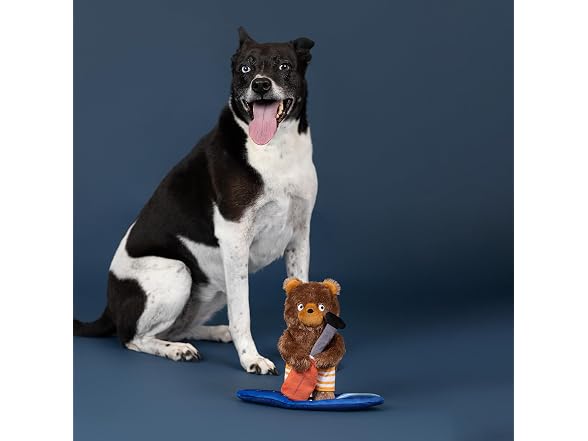 Fringe Studio Water You Waiting for? Plush Dog Toy