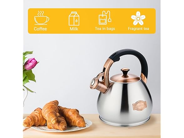 Tea Kettle Stovetop