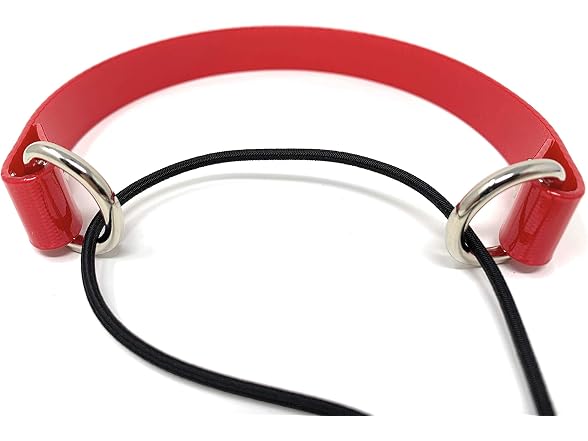 Sparky Pet Co ECollar Replacement Strap