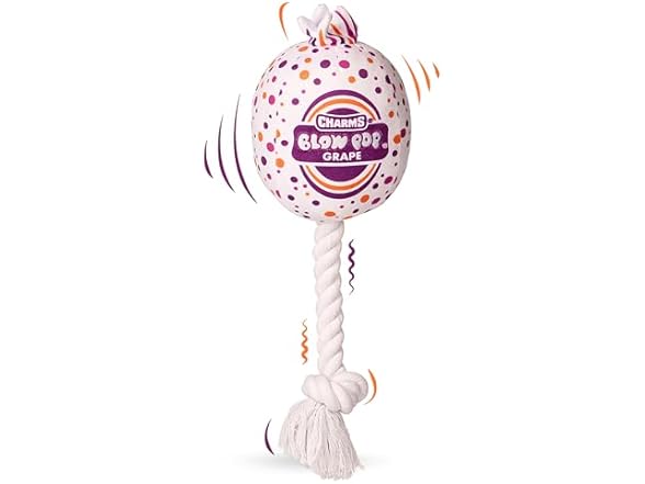 Blow Pop Plush & Rope Dog Toy