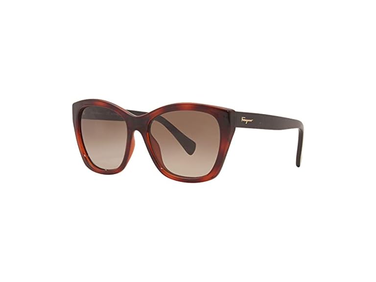 Ferragamo Unisex SF957S Tortoise Sunglasses Tortoise - Gallery 8