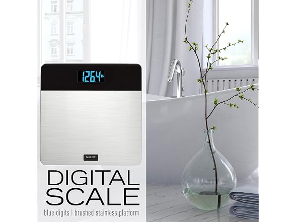 Taylor Digital Brushed Stainless Steel Scale