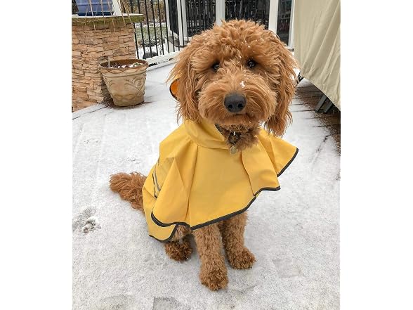 Fashion Pet SPOT Rainy Days Slicker
