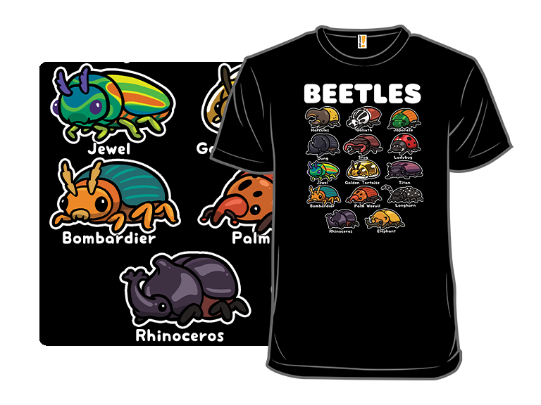 Beetles - Gallery 3