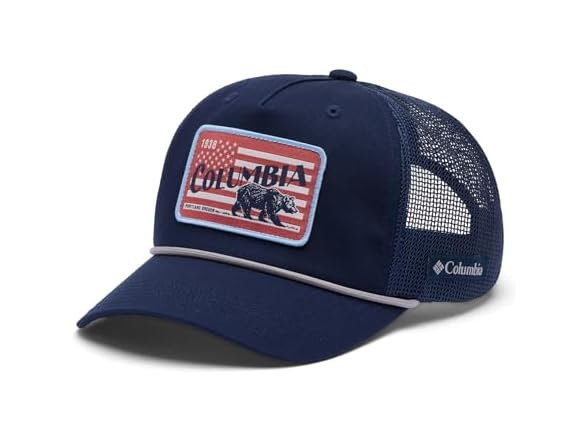 Collegiate Navy/Usa Bear