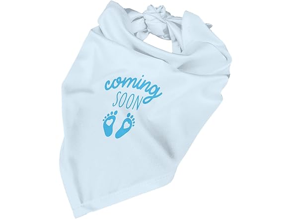 vercosee Coming Soon….Bandana Pregnancy Announcement