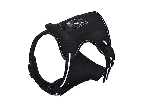 Amazon Basics No Pull Dog Harness