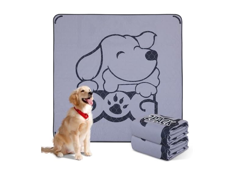 Oiyeefo BC075525070058 Washable Puppy Pads for Dogs