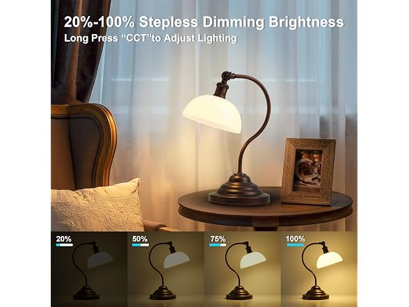 Cordless Table Lamp, Battery Operated