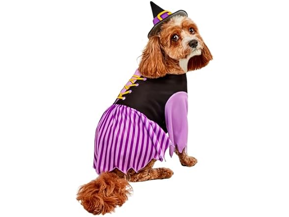 Rubies Witch Pet Costume for Dogs or Cats
