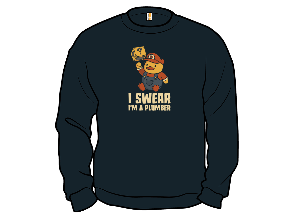 I Swear I'm a Plumber - Gallery 11