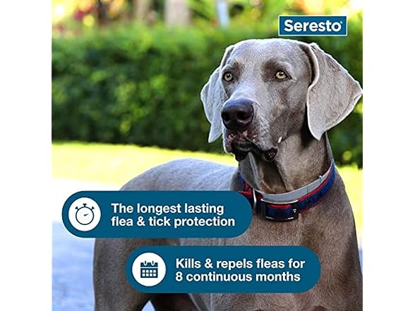 Seresto Large Dog Collar- Flea & Tick Treatment