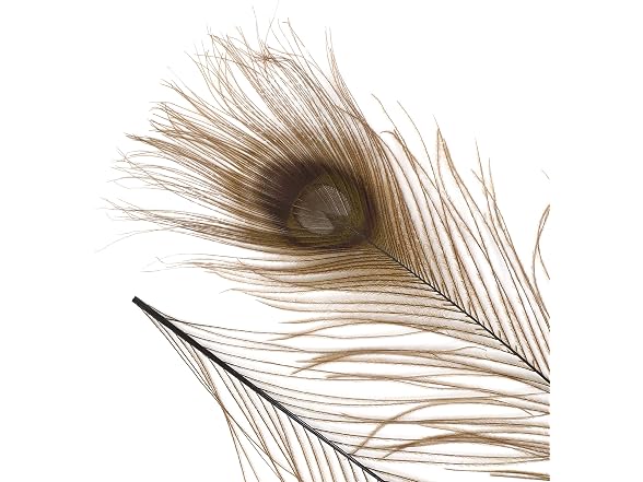 Zucker –Peacock Feathers – Feathers for