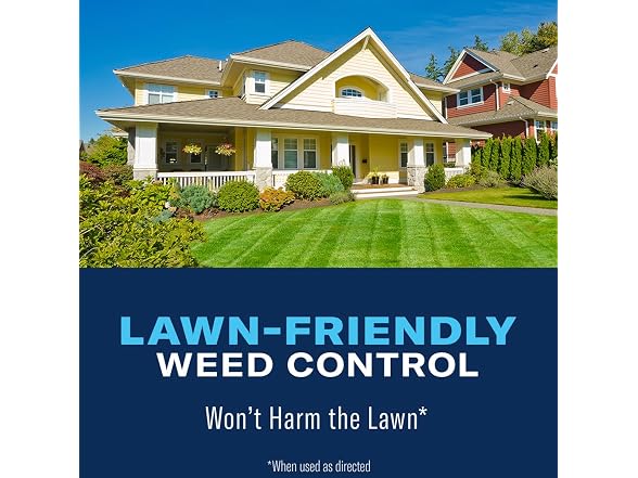 BioAdvanced All-in-One Lawn Weed & Crabgrass Killer