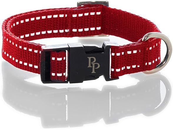 Pet Passion Max II - 2-Pack Reflective Leash & Collar