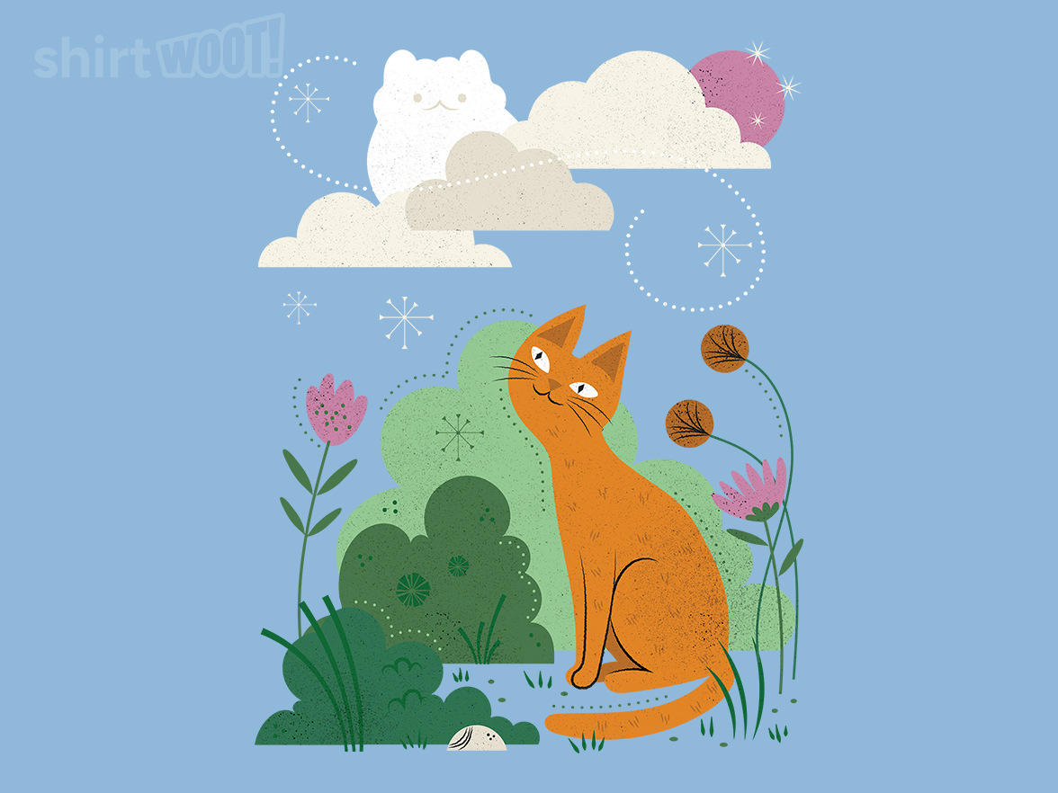 Cat Looking at Clouds - Gallery 5