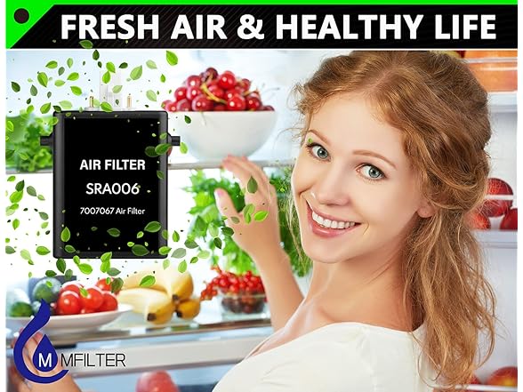 Refrigerator Air Purification Cartridge