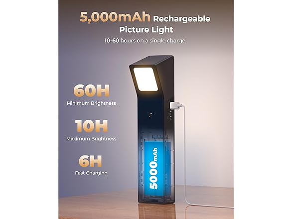 3 Pack Picture Lights for Wall