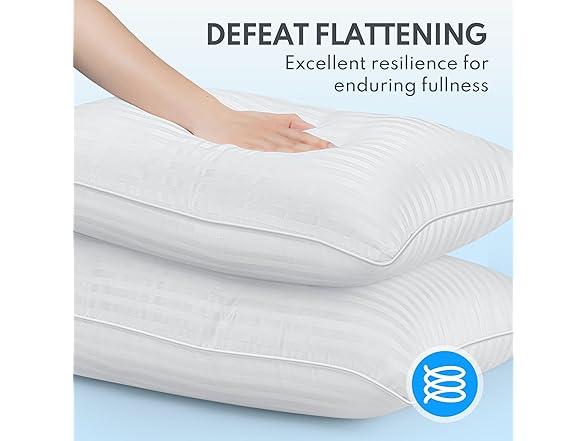 HEYCUZI Premium Down Alternative Bed Pillows